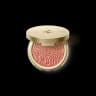 Holiday Wonderlights Radiant Flush Blush 01