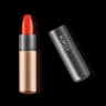 Velvet Passion Matte Lipstick 309