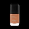 Smart Nail Lacquer 40