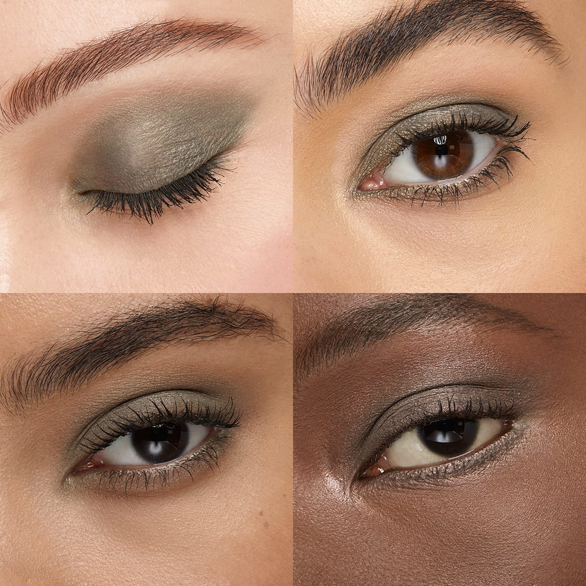 HIGH PIGMENT EYESHADOW 51